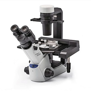 常规倒置型显微镜图片