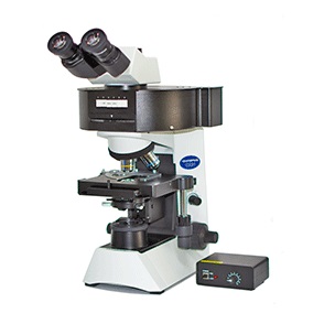 荧光生物显微镜图片