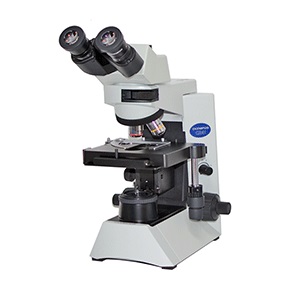 常规级显微镜图片