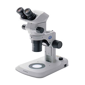 常规体视显微镜图片