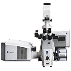 超高分辨率显微镜图片