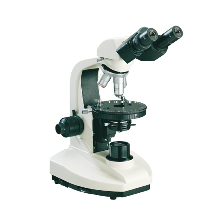 偏光显微镜图片