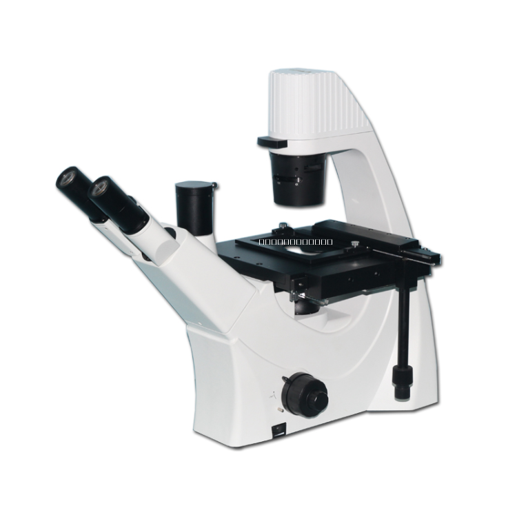 倒置生物显微镜图片