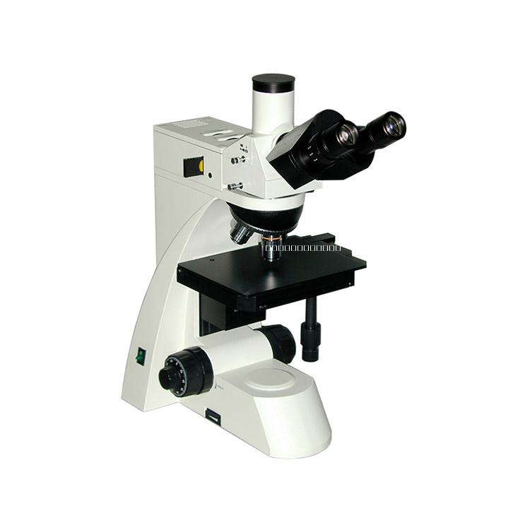 金相显微镜图片