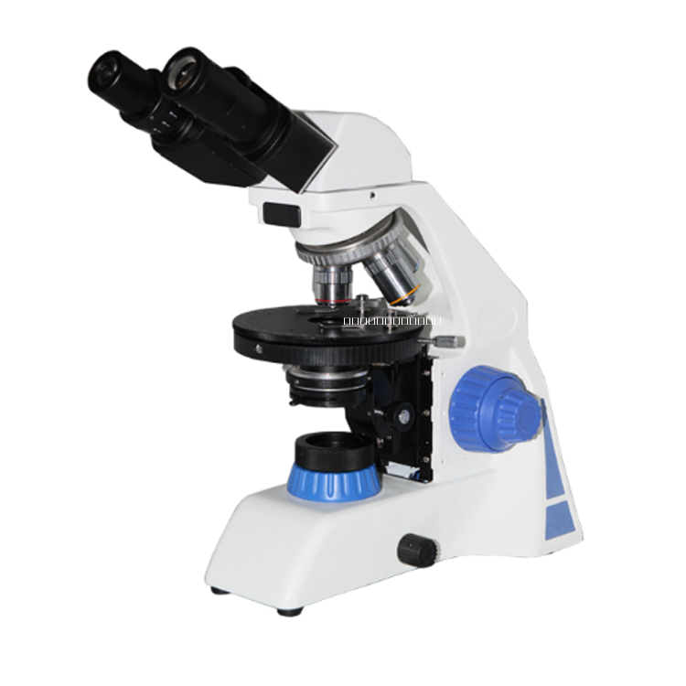 偏光显微镜图片